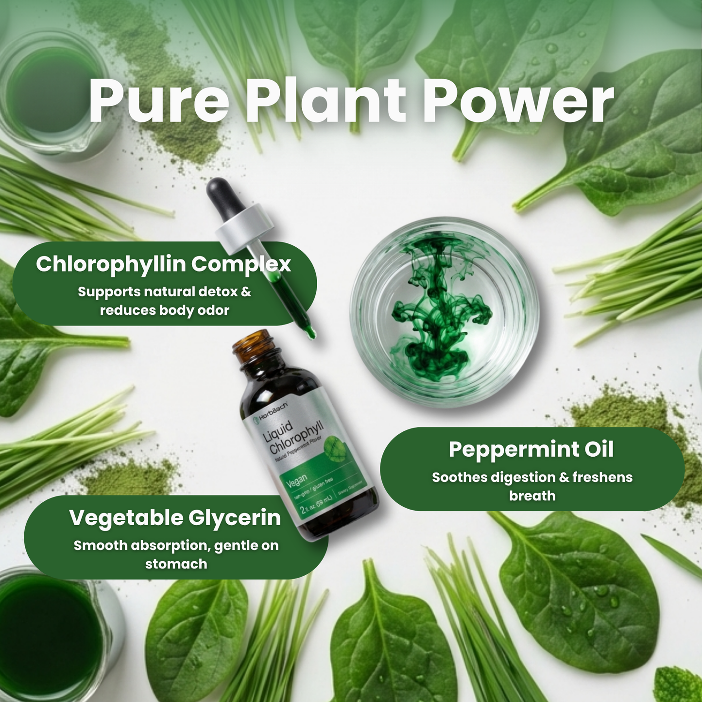 Cloe Liquid Chlorophyll Drops – Natural Body Detox